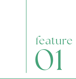 feature01