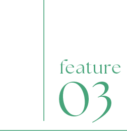 feature03