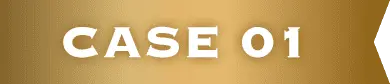 CASE 01