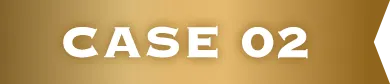 CASE 02