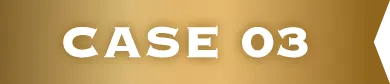 CASE 03