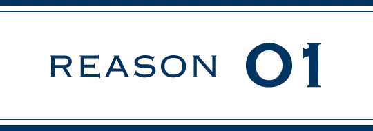 REASON 01