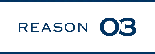 REASON 03