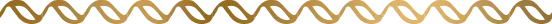 装飾画像
